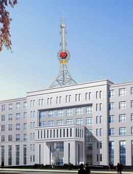 工藝塔生產廠家圖片_高清圖_細節圖-衡水新東方通訊設備 -